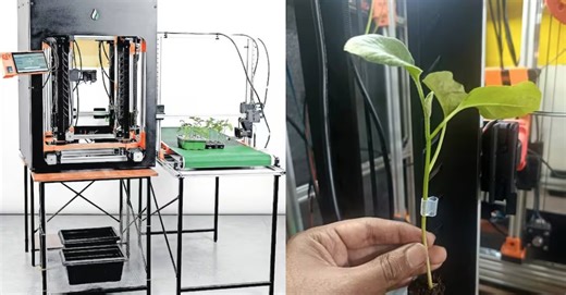 Automated Grafting Robot for Vegetable Plants | The Farming Times