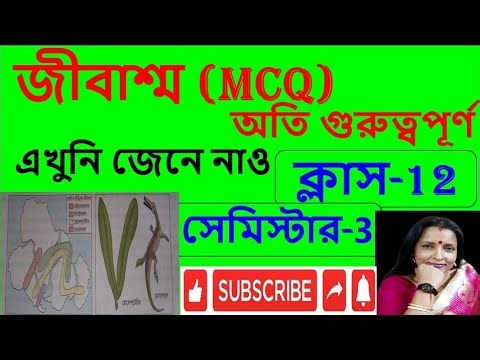 ​🌍 জীবাশ্ম ও মহাদেশীয় সঞ্চরণ: প্যানজিয়ার প্রমাণ! 🦖 | Class 12 Semester 3 Geography/Biology 🍃