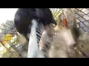 Inside the basket of Easy Scaler