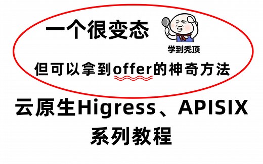 【云原生架构】目前B站讲得最好的云原生Higress、APISIX系列教程！
