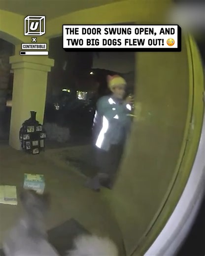 I was chased by dogs whilst doing my job...🐕🤯 #dogs #scary | UNILAD