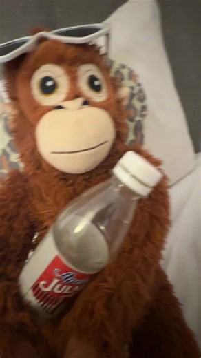 Benny's Dance Moves Shine in Ikeamonkey Challenge