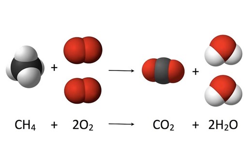 Combustion Reaction