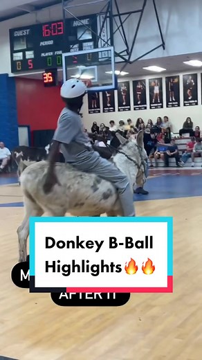 Donkey Basketball Highlights & Fails🔥🔥 Students won 14-10!! #donkeybasketball #fyp #studentsvsteachers
