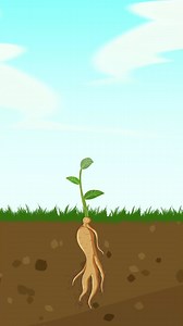 La naturaleza siempre tiene una fuerte vitalidad 🌱🏵 #cartoon #animation #fairytales #shorts #reels #2dart #drawing | WOA - Spanish Fairy Tales