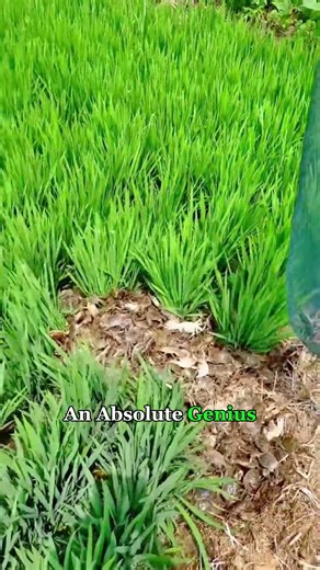 One Field, Two Harvests: Zero Waste Farming