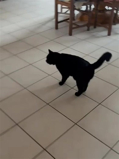 Larry le malicieux présente ses respects avec humour