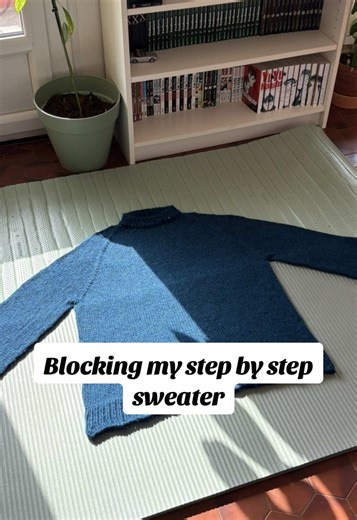 Step by Step Sweater: Worth a Month of Knitting