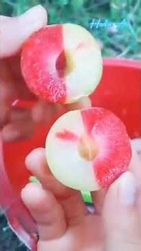 পাকিস্তানি গজল।।। Pakistani gojol