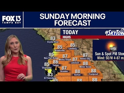 Tampa Weather | Sunday morning forecast