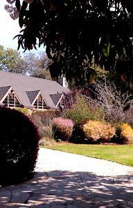 Brazilian Room Events on Instagram: "Continue the celebrations with us! Click the link in our bio. 📣 With thanks and much appreciation to our dream team 📽 @peekmediagram @leo.moring @znapfly 💐@blumafarm and the staff at the Brazilian Room for the boundless energy into the work that you’ve created. 📷 Ceremony: @bradandrachel @apollofotografie @lydiaspics @nicole.blumberg.photography @mariellehayes_photo @teribphotography @the_goodfolk_film_co 📷 Portraits: @jamiehardinphotography @vivianchenw