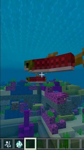 J'ai dompté un dauphin.. dans Minecraft ?! #Shorts