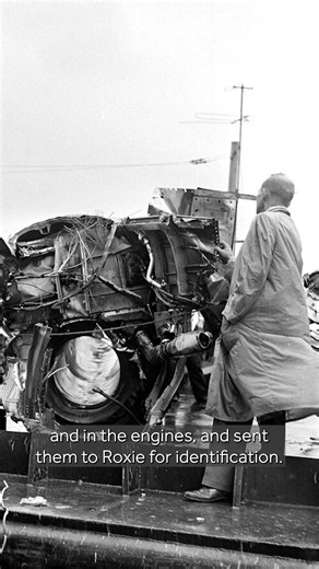 A plane crash in Boston Harbor 65 years ago shocked a nation into taking the threat of bird strikes seriously. And a little old lady at the Smithsonian quietly began work to make our skies safer. Learn more about the "Feather Detective" - https://www.wcvb.com/article/boston-plane-crash-feather-detective-roxie-laybourne/69548249 #Boston #BostonLogan #Aviation #flying #airtravel #Feathers #birds #birding #science #STEM #WomenInStem #Smithsonian #RoxieLaybourne #ChrisSweeney #Massachusetts #DC #New