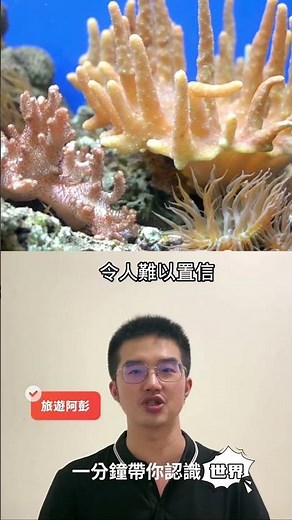 #澳洲 #大堡礁 #凱恩斯 #珊瑚礁 #水下奇觀 #潛水聖地 #自然奇蹟 #海底探險 #旅遊 #地質 #旅行 #世界遺產 #旅游 #一分鐘帶你認識世界 #短影片旅行 #科普