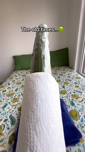 409K views · 3.4K reactions |  Your touch is my favorite place to be. ✨ #CuddlePuddle #Waterproof #EndlessLove #FeelTheHeat #Unstoppable #PetComfort #QuirkyDesigns #FreeBleedingComfort #MagicalMoments #WhimsyAndMagic | Cuddle Puddle | Facebook