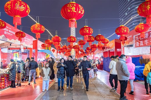 CPPCC: China's economy on a solid footing