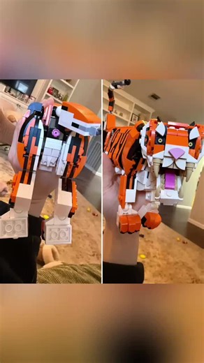 Exploring Rare and Interesting Photographs