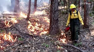 Her tribe tamed wildfires for generations. Their method might surprise you.