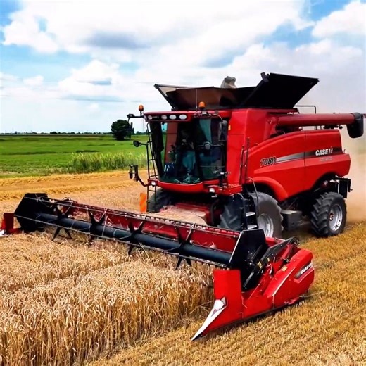 Our Case International combine harvester is working perfectly today #reels #bigmachines #harvester #farming | Big Machines