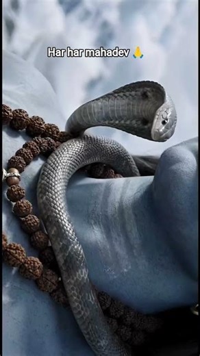 AADI ANANT SHIV ❤️...#mahadev #viral #video #trending #reels