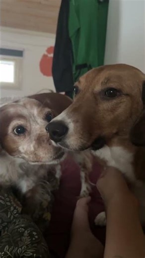 Aku kotihoidossa syksy/25