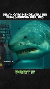 Here's How to Trick a Shark Using Armor #filmstoryline