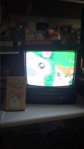 hamtaro vhs vibe #retro #vhs #hamtaro