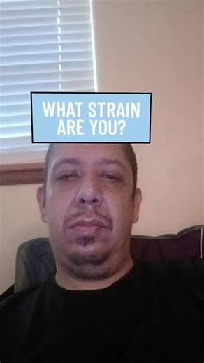 Rudy Sanchez (@sancheezy409)’s videos with original sound - That Bald Guy 4.20