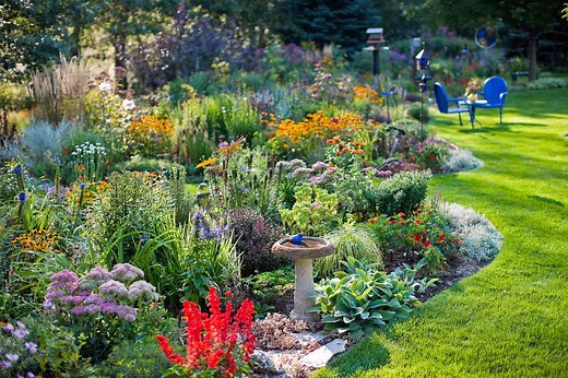 Here's How to Attract Colorful and Cheerful Songbirds to Your Yard