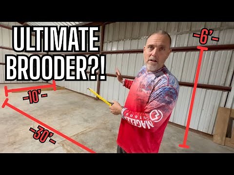 The ULTIMATE BROODER BUILD! Indoor Chick Pen Setup for our Micro Hatchery