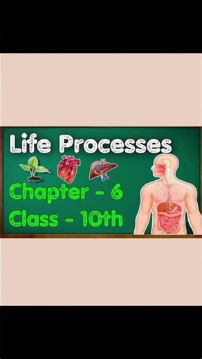 Class 10 Biology chapter 1 - Life Processes. #ebookncert #lifeprocesses #bilogyclass10
