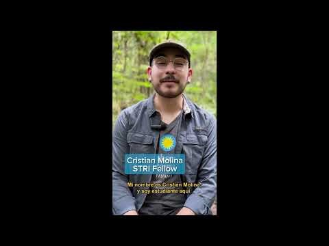 Mutualism Under Pressure: New Research in Panama Shows a Plant’s Ability to Keep Its Defender Ants Happy