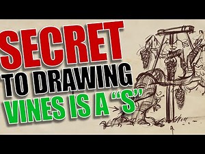 How to Draw a Grapevine Step by Step – Make Your Vines Look Natural!