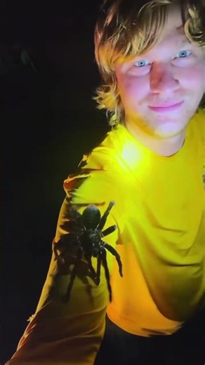 #You Won’t Believe The Transformation! 😱 | Before & After Animals#