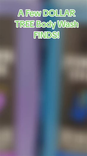 DOLLAR TREE Body Wash Finds You Can't Miss!