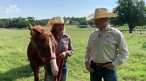 95 reactions | With an emphasis on the next generation of cowboys, you won't want to miss our July issue! Purchase your copy here: https://whmag.co/2KZAdan | Western Horseman | Facebook