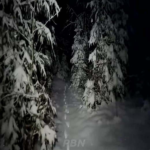 Snowfall overnight Camp under falling trees - Winter Bushcraft Del Part 17 | Survival Expeditions | Facebook