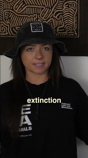 What Caused Triassic Mass Extinction? How Life Rebooted After Chaos