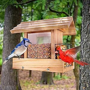 Bird Feeders for Outdoors Hanging - Cardinal Bird House Feeder, Large Bird Feeder with Suet Holder for Outside, Wild, Outdoors Hanging Pole
