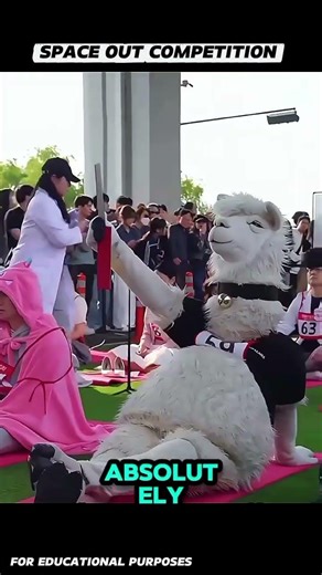 Doing NOTHING Wins 😳🧠 | Korea’s Space Out Competition Explained. #usashorts#documentary#fyp