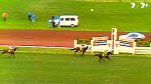79K views · 720 reactions | "Goodness gracious me, Dandy Andy!" The day Dandy Andy shocked the racing world, beating Bonecrusher and Vo Rogue to win the 1988 Australian Cup at 125/1, causing one of the greatest upsets in racing history! Flemington Racecourse and Victoria Racing Club | 7HorseRacing | Facebook