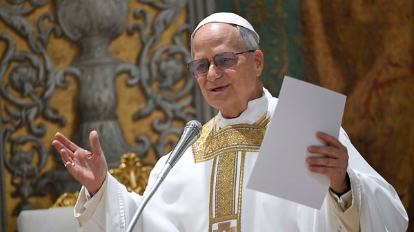 Pope Leo intervenes in abortion debate by raising what it really means to be pro-life