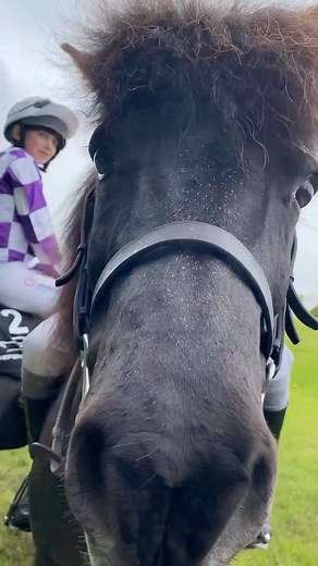 Meet the @shetlandponygn riders and their adorable yet incredibly speedy ponies 🤩 #royalwindsorhorseshow | Royal Windsor Horse Show