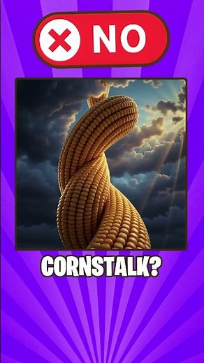 Literal Vs Reality English Compound Words Part 34✨