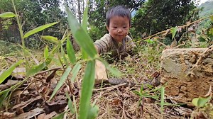 146K views · 2.9K reactions | The orphan boy rescuing his younger brother from a poisonous snake | Seidman Booth | Facebook