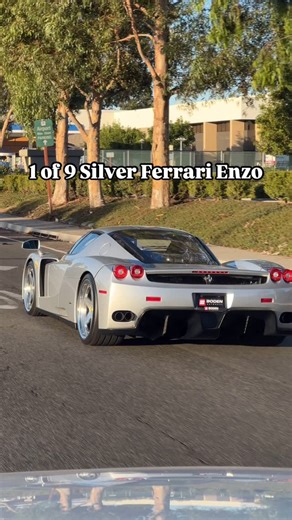 Ultra rare Silver Ferrari Enzo we lowered on @hre_wheels and fitted with our titanium exhaust system | Boden AutoHaus