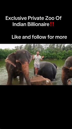 Exclusivo Zoológico Privado de un Multimillonario Indio