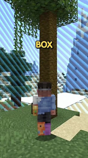 How to Start Playing the Brand New Minecraft Box SMP