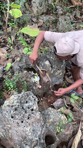 He set out to hunt animals in the forest, only to discover a beautiful baby bird inside a rock.