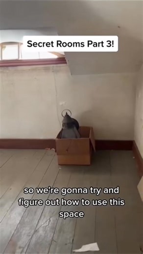 H. Ready for the #reveal of the #secretrooms #hiddenroom #secretcompartment #spooky #thewatcher #secretstalker #historichouse #creepyhouse #oldhousetiktok | Living in History